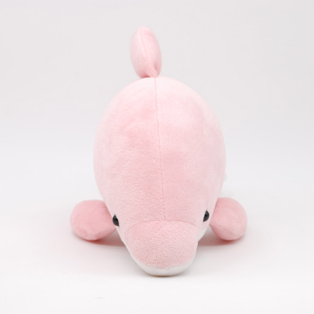 Dolphin